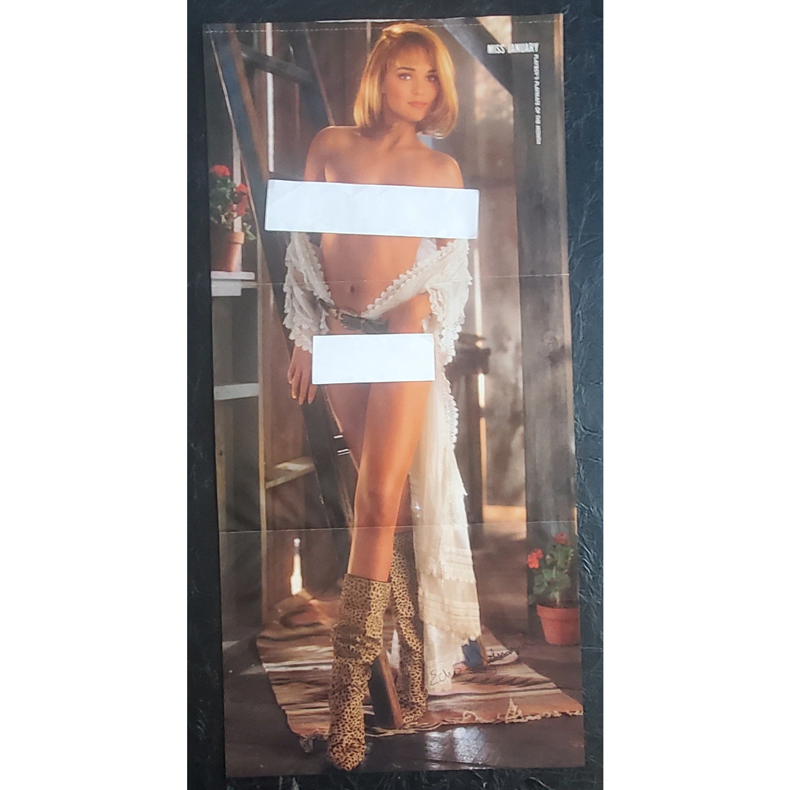 Playboy PinUp / CF - ECHO JOHNSON    January, 1993