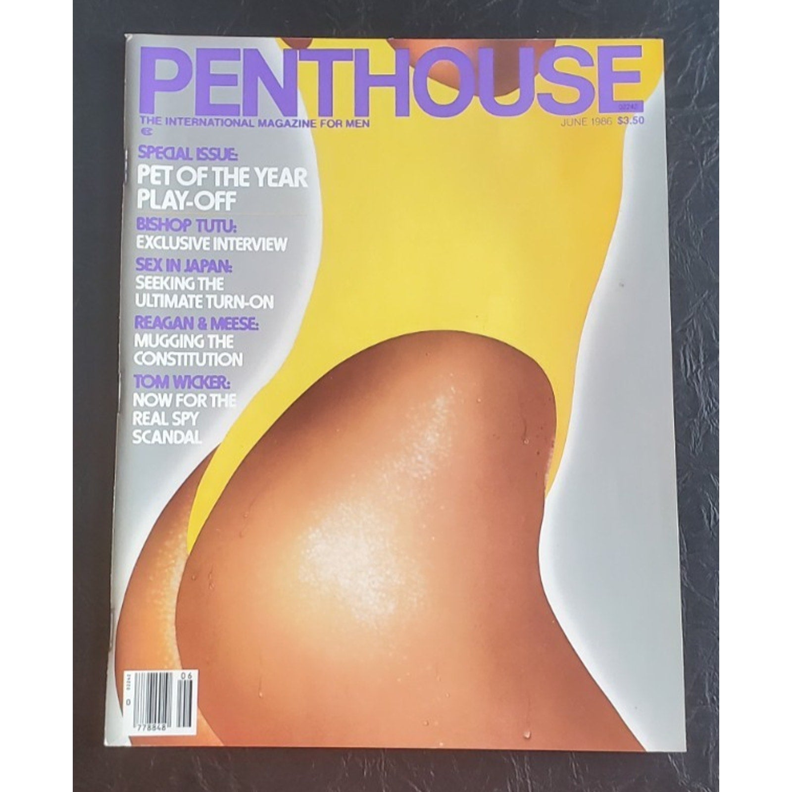 PENTHOUSE - June, 1986 PET of YEAR PLAYOFF (Pet SUSAN GABRIELSON)