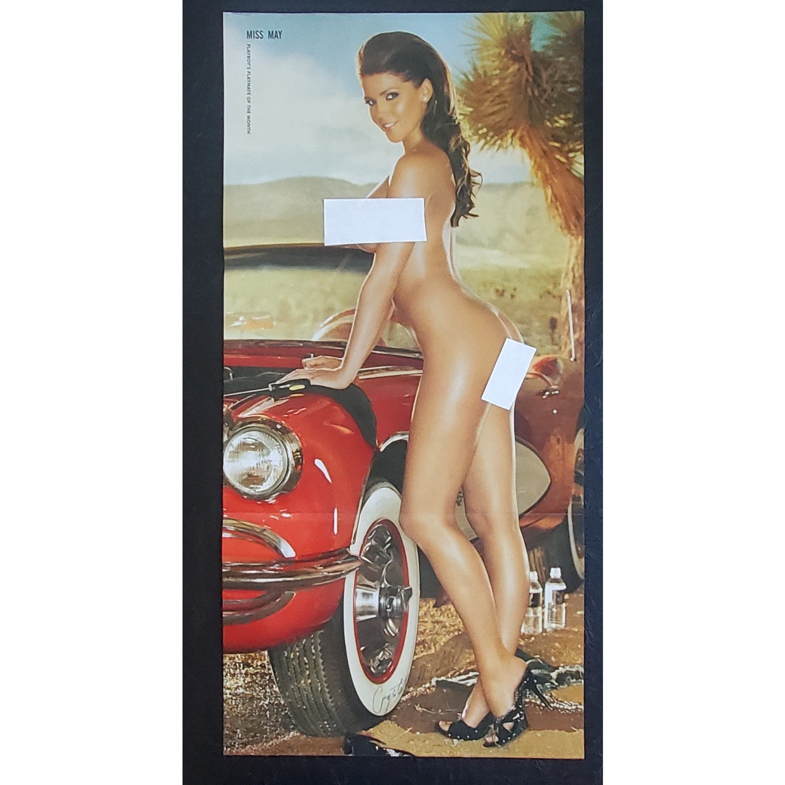 Playboy Pinup / CF - Playmate CRYSTAL MCCAHILL May, 2009