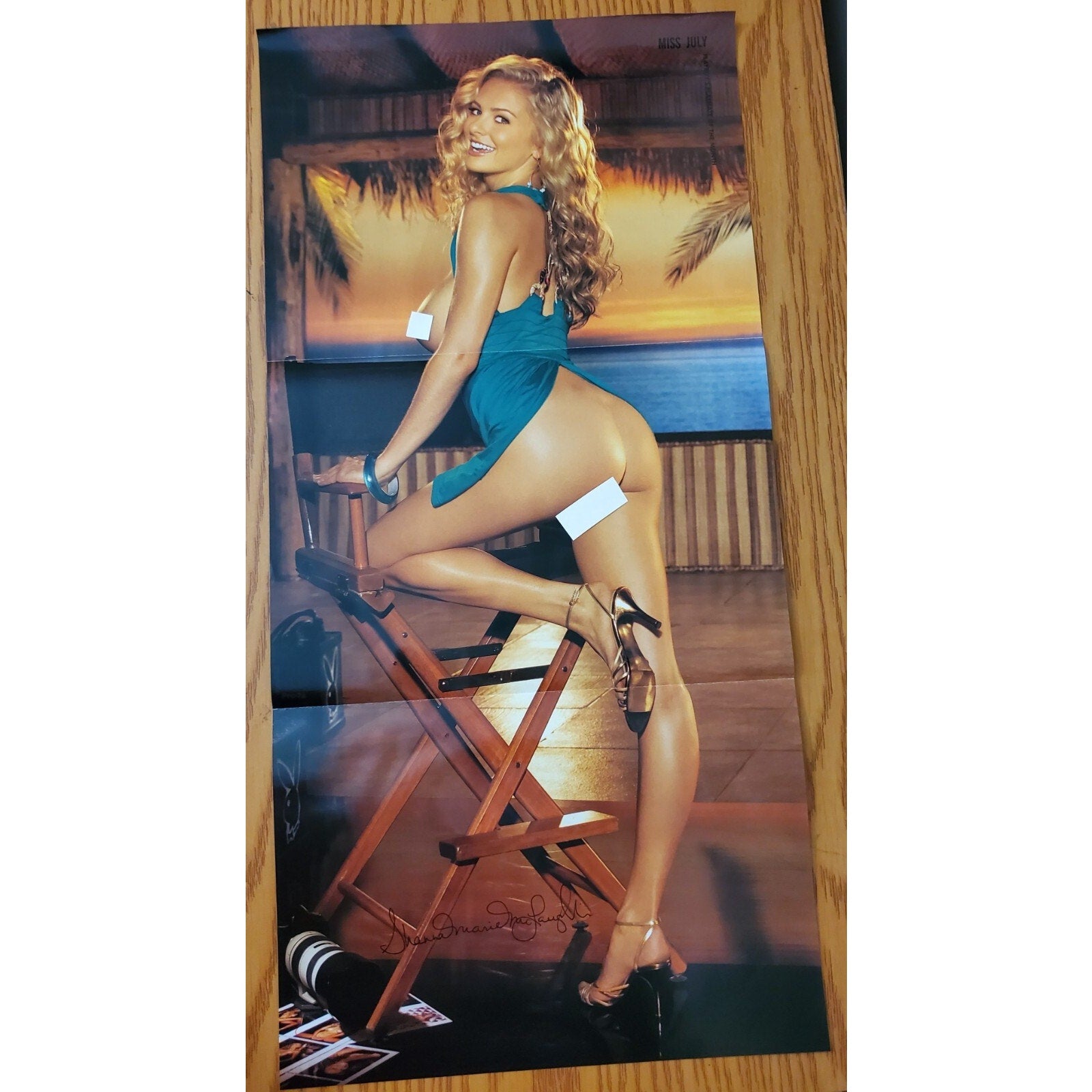 Playboy PIN UP / CF - Playmate SHANNA MCLAUGHLIN July, 2010