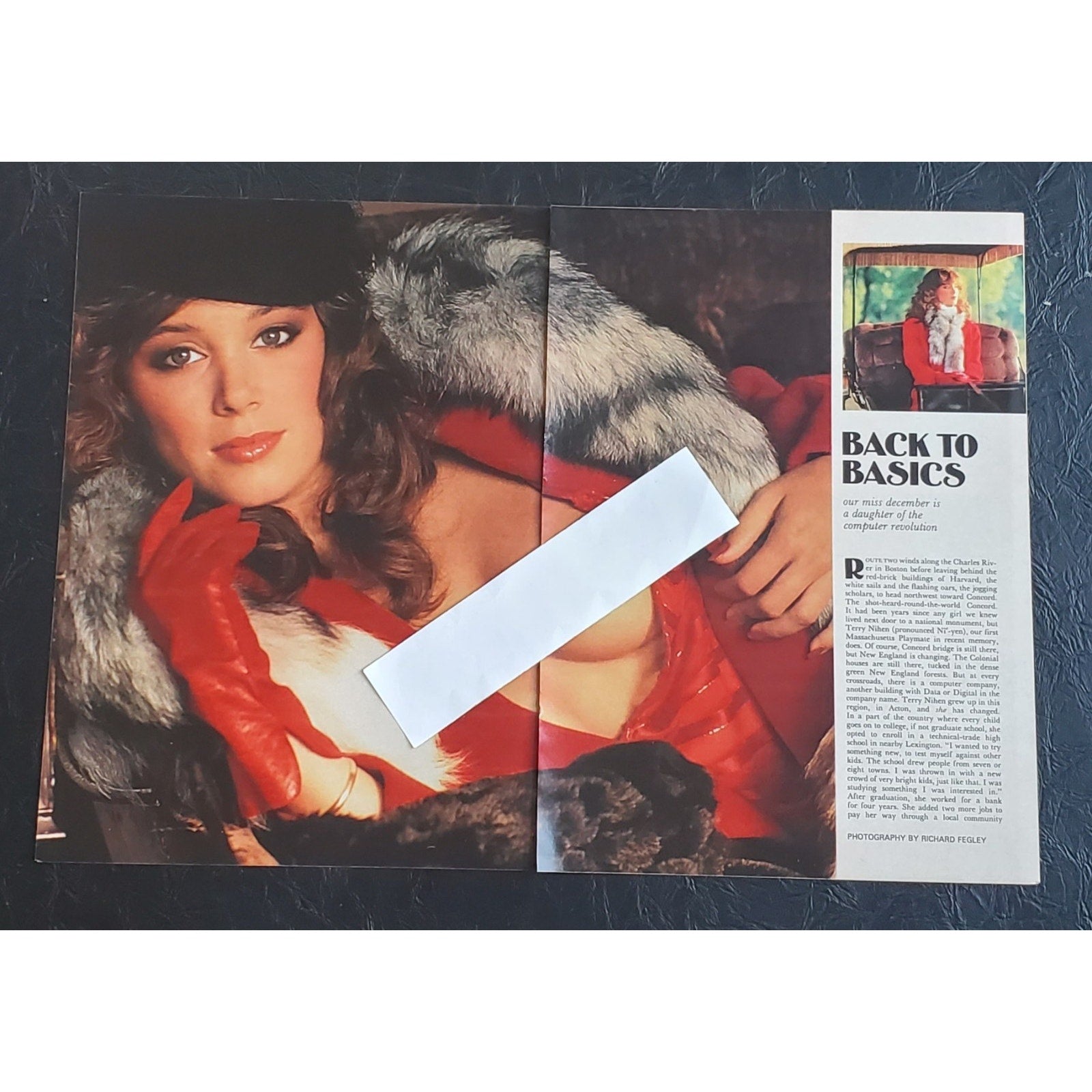 Playboy PICTORIAL ONLY - Playmate TERRY NIHEN December, 1983 9 pages