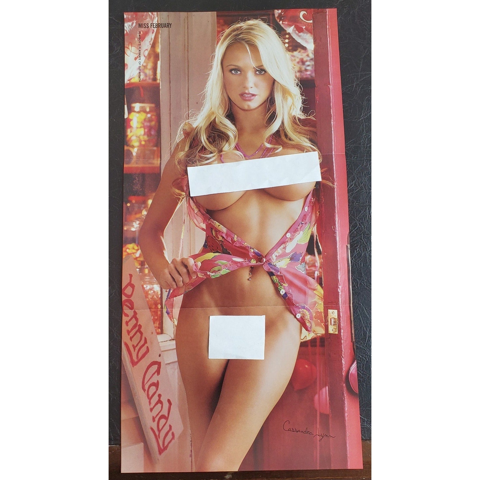 Playboy PIN UP / CF - Playmate CASSANDRA LYNN February, 2006