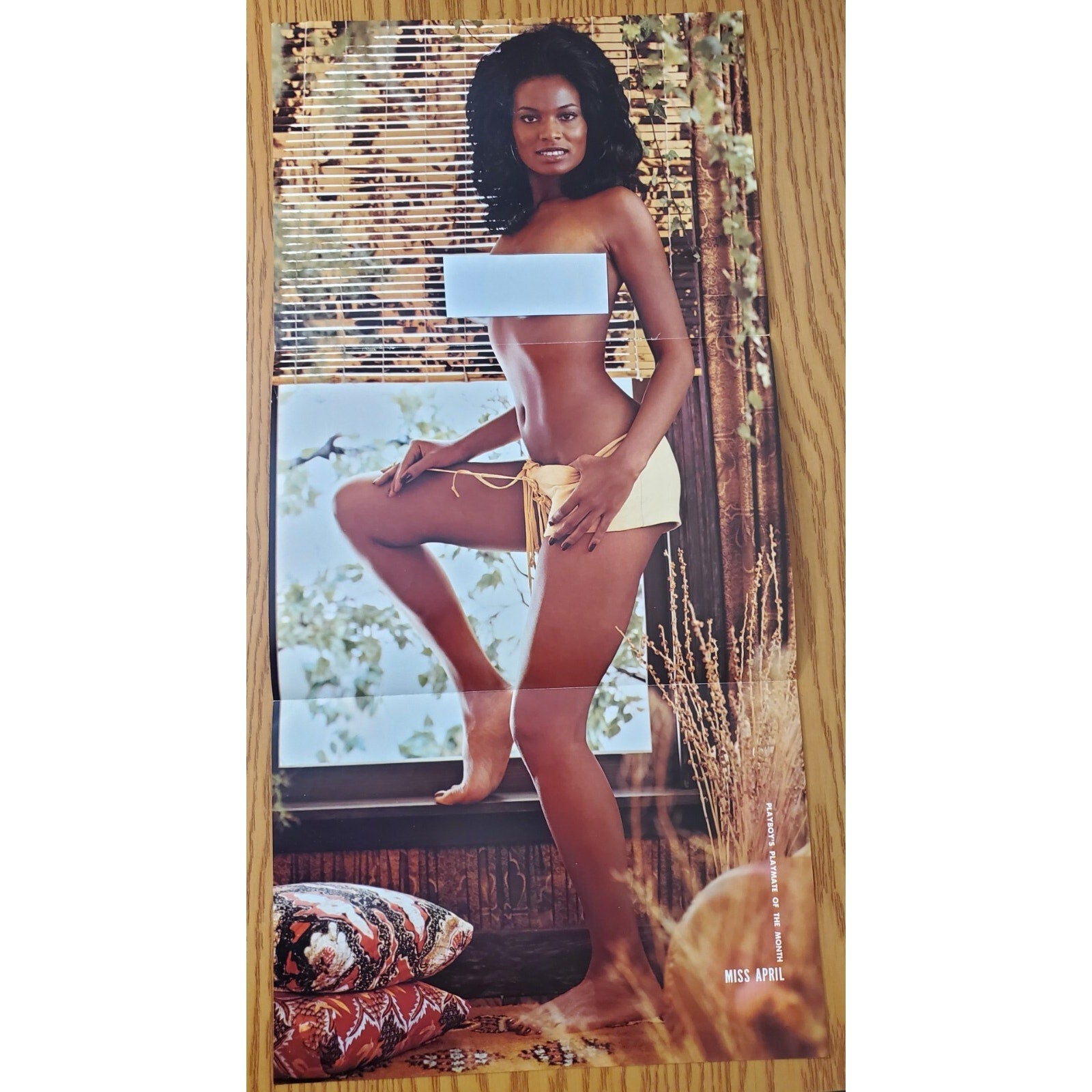 Playboy PIN UP / CF - Playmate JULIE WOODSON April, 1973