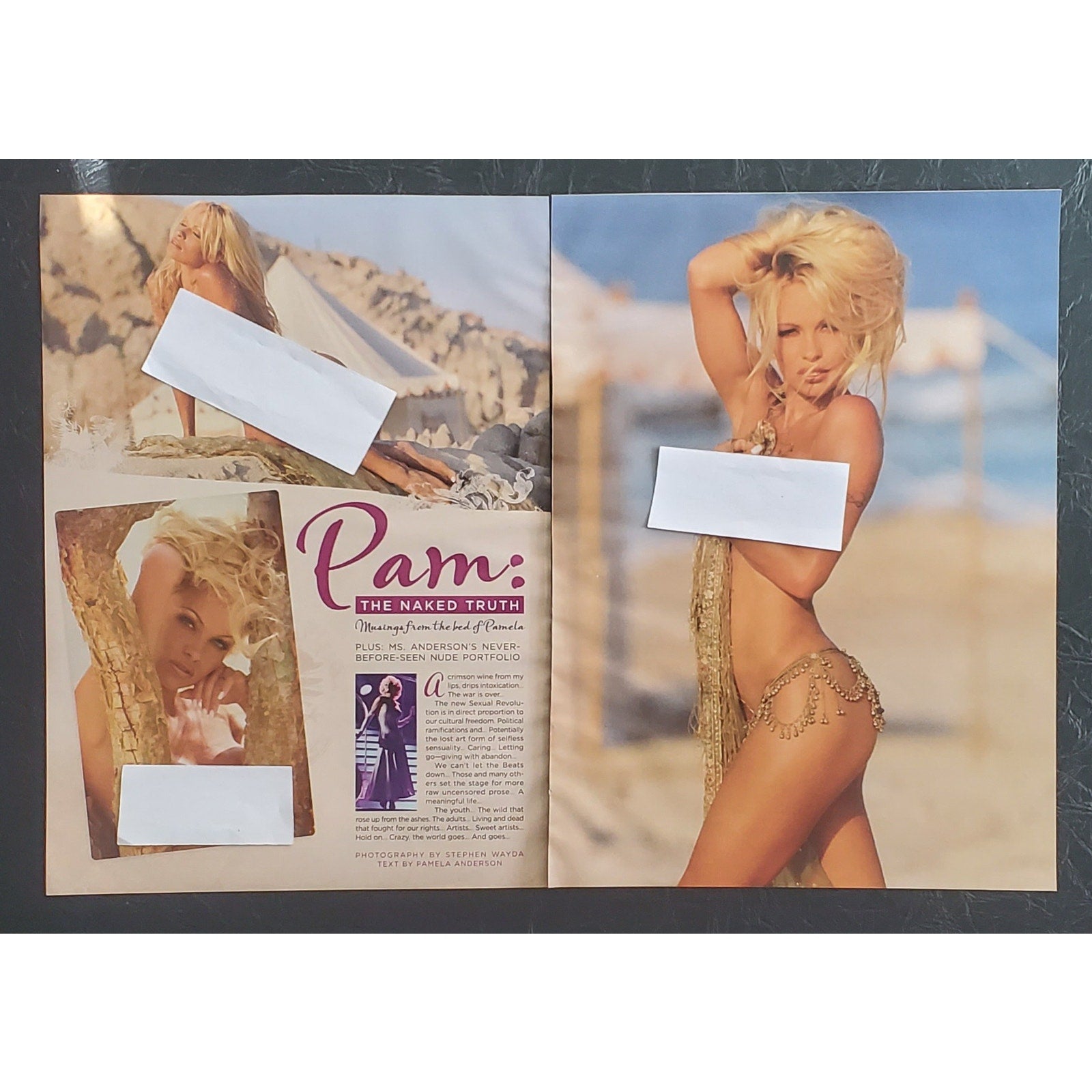 Playboy PICTORIAL ONLY - PB Icon PAMELA ANDERSON January, 2011 8 pages