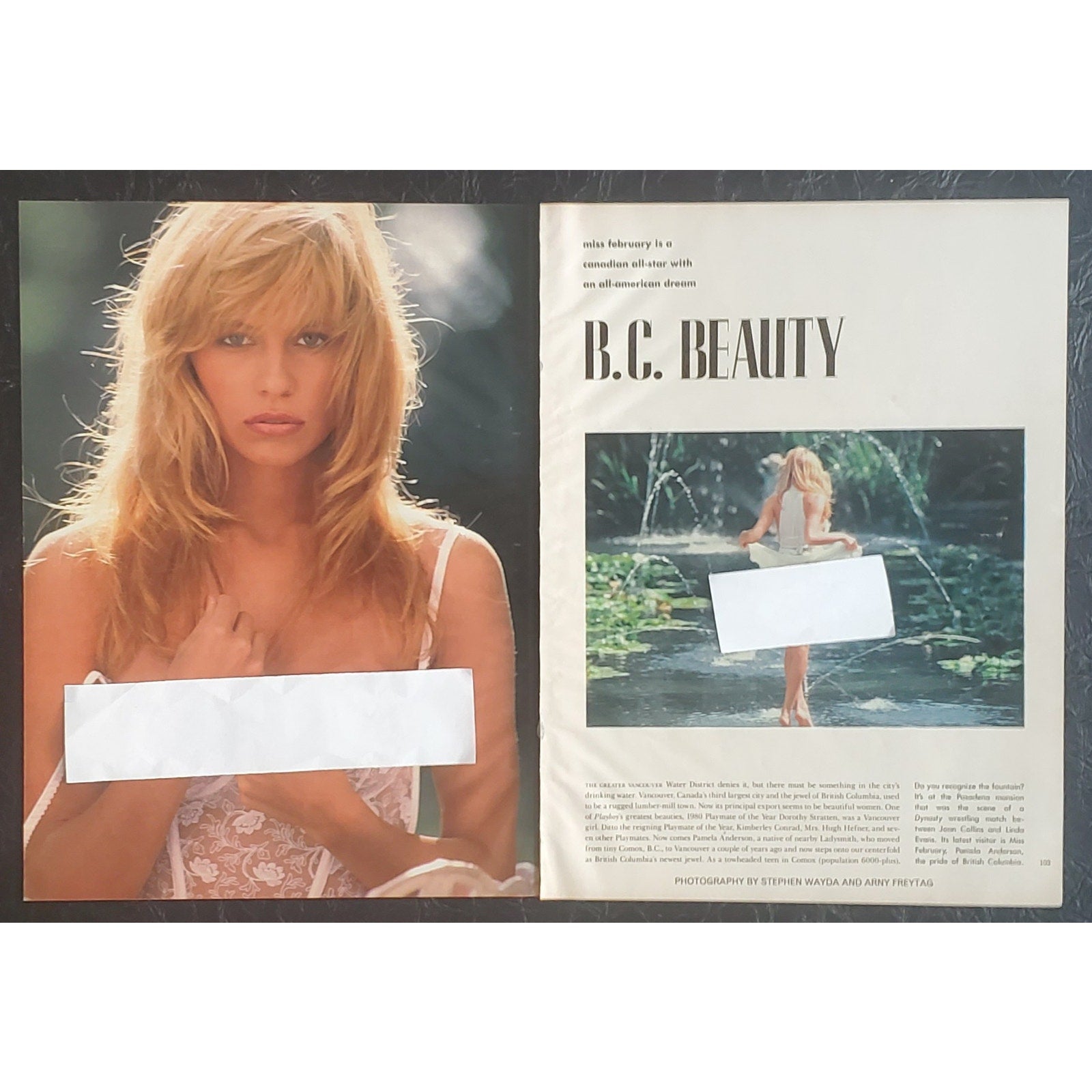 Playboy PICTORIAL ONLY - Playmate PAMELA ANDERSON    February, 1990   7 Pages