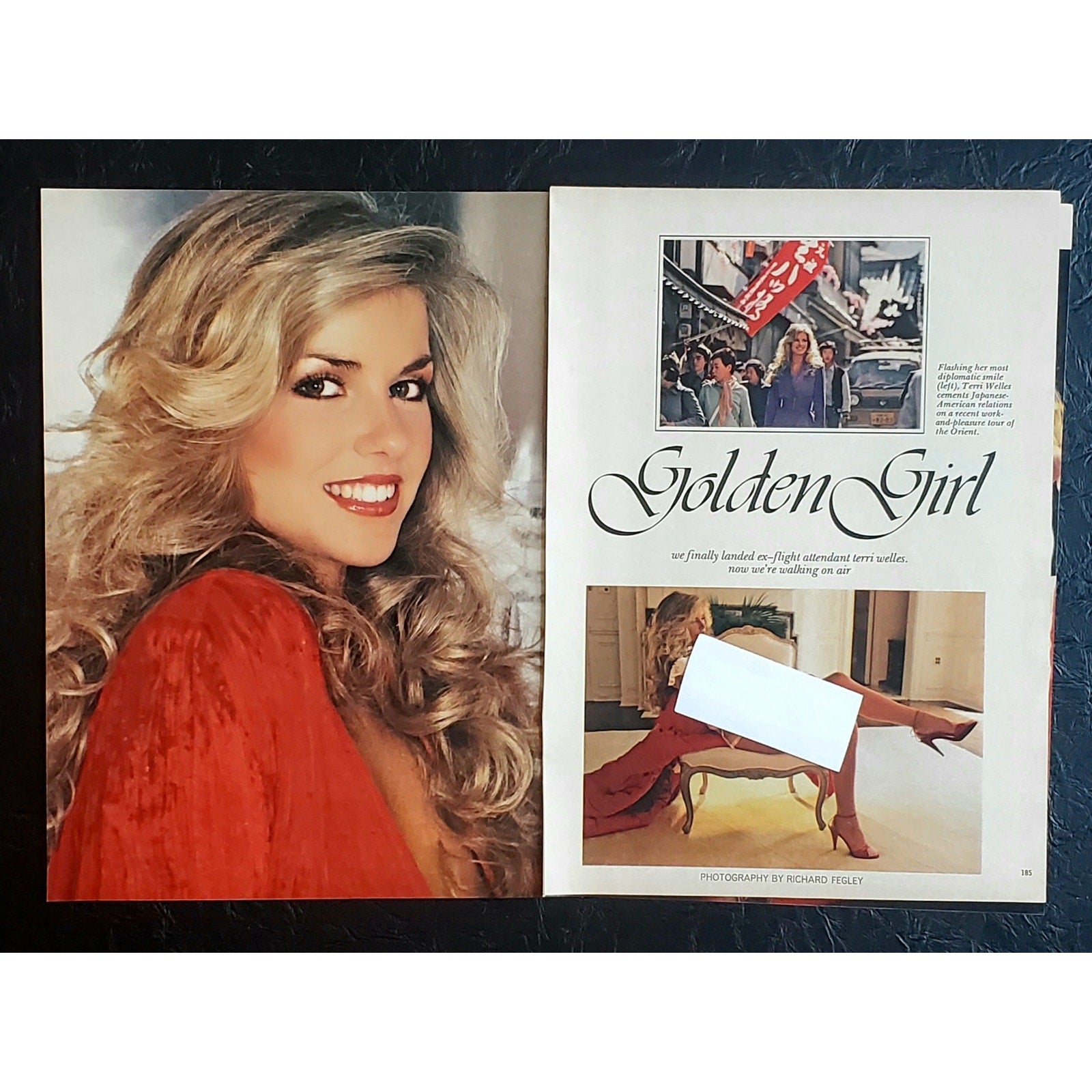 Playboy PICTORIAL ONLY - TERRI WELLES   December, 1980