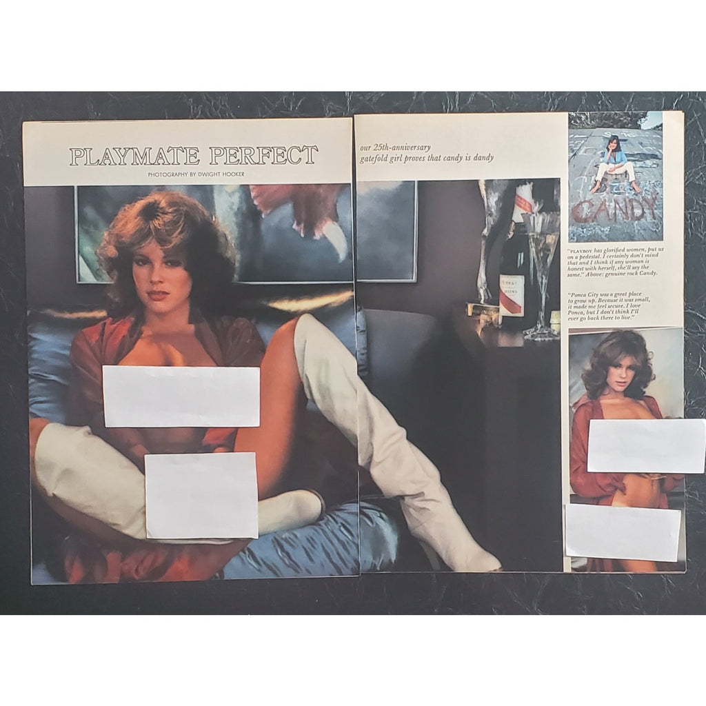 Playboy PICTORIAL ONLY - 25th ANN. HUNT & CANDY LOVING    January, 1979   13 Pgs