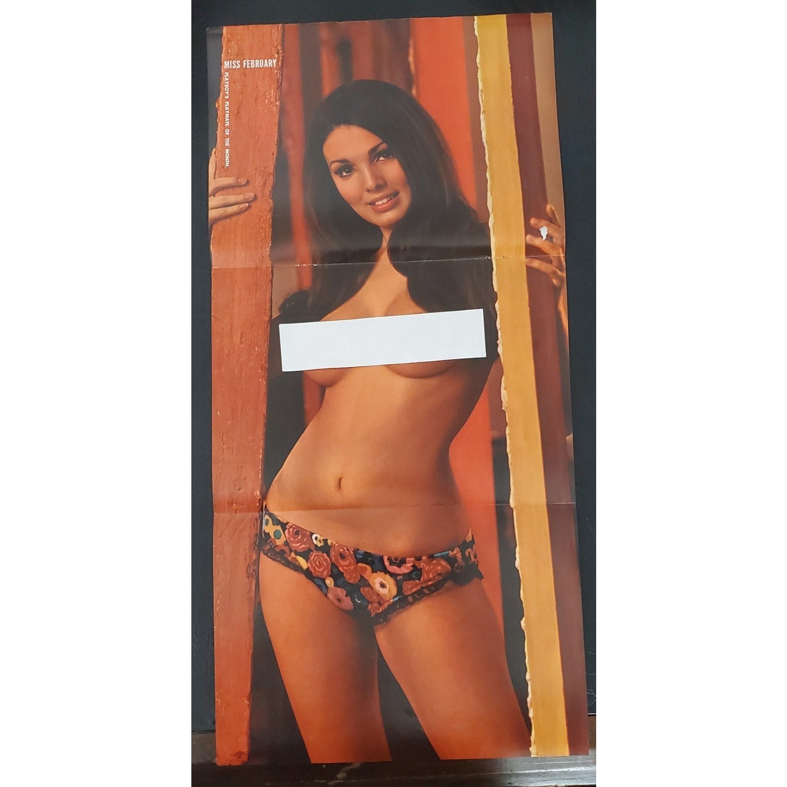 Playboy PIN UP / CF - Playmate LINDA FORSYTHE February, 1970
