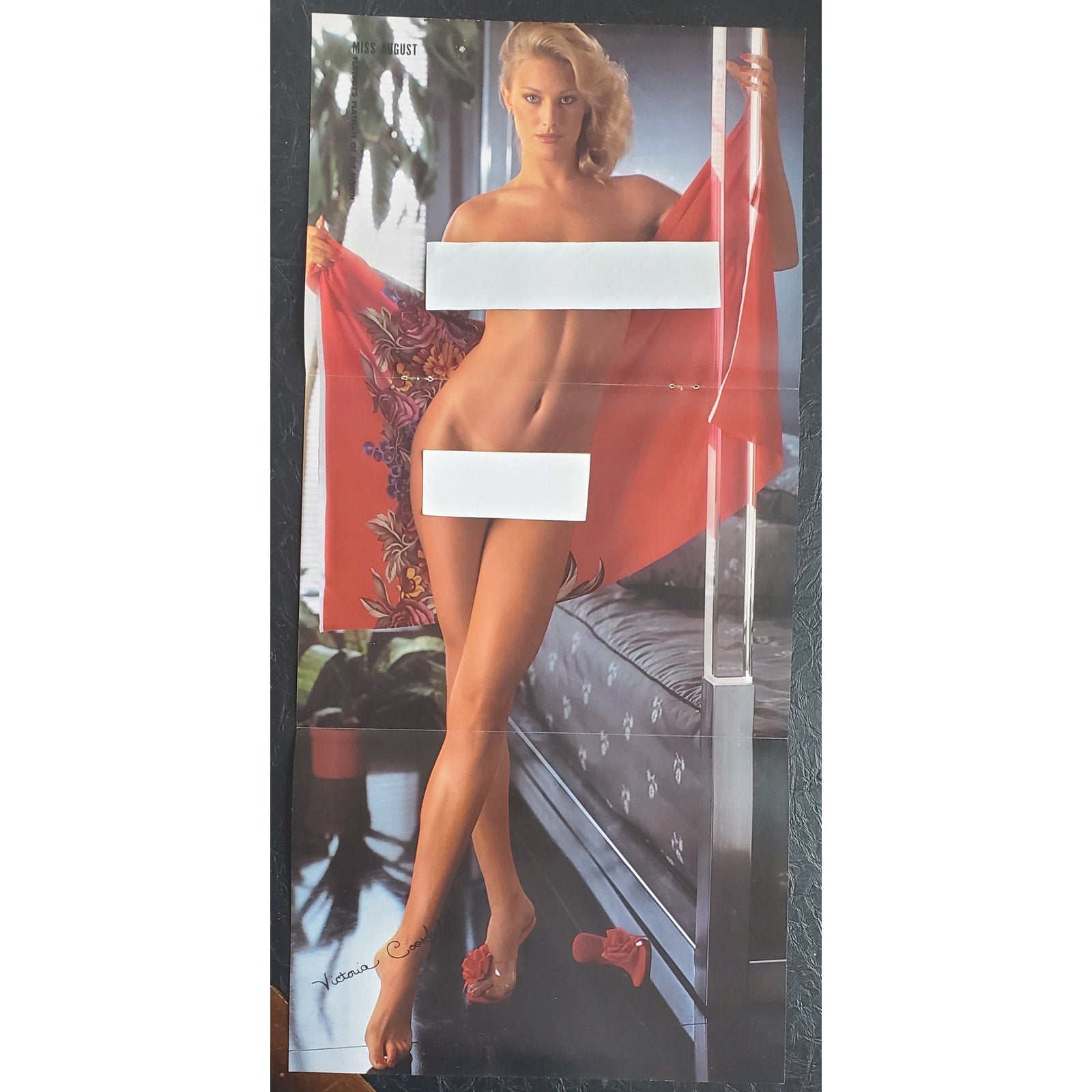 Playboy PinUp / CF - VICTORIA COOKE   August, 1980