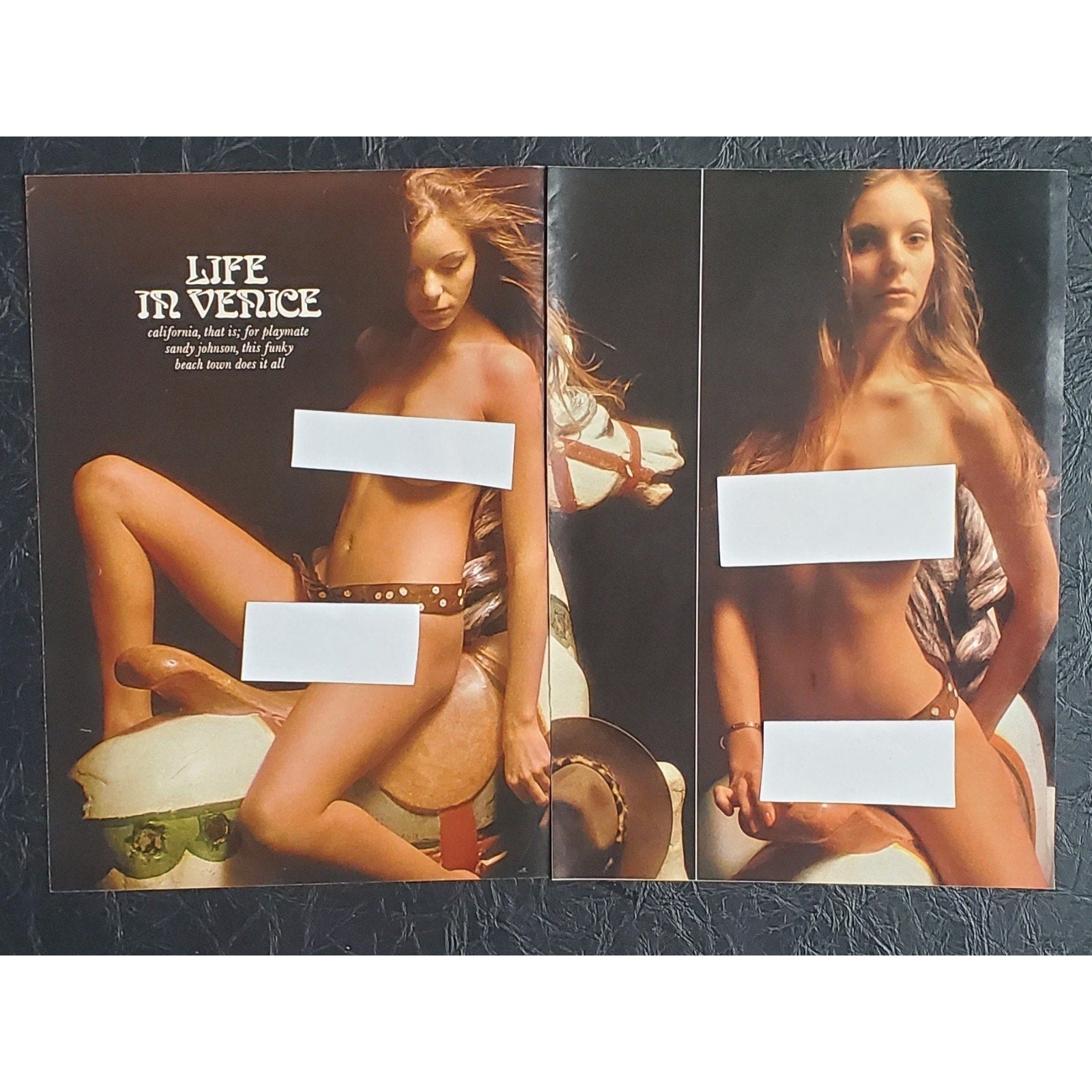 Playboy PICTORIAL ONLY - Playmate SANDY JOHNSON June, 1974 5 pages