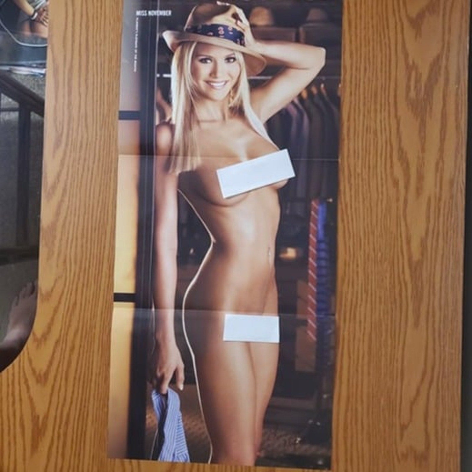 Playboy Pin-Up / CF - LINDSAY WAGNER     November, 2007