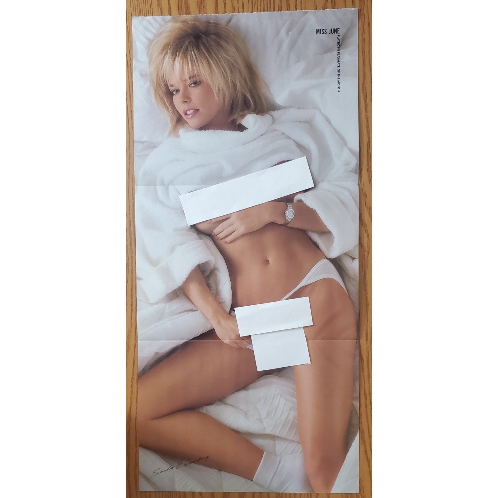 Playboy PIN UP / CF - Playmate SANDY GREENBERG June, 1987