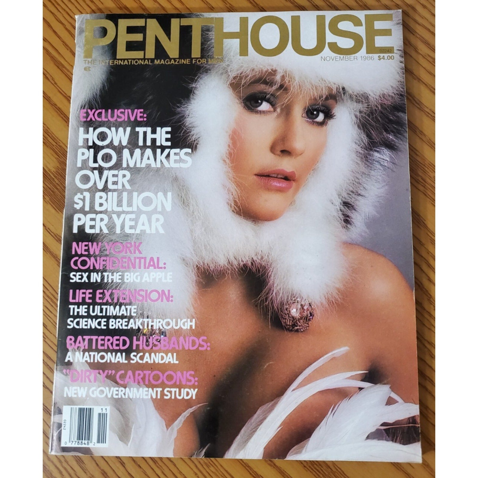PENTHOUSE - November, 1986 (Pet BETH SNYDER)