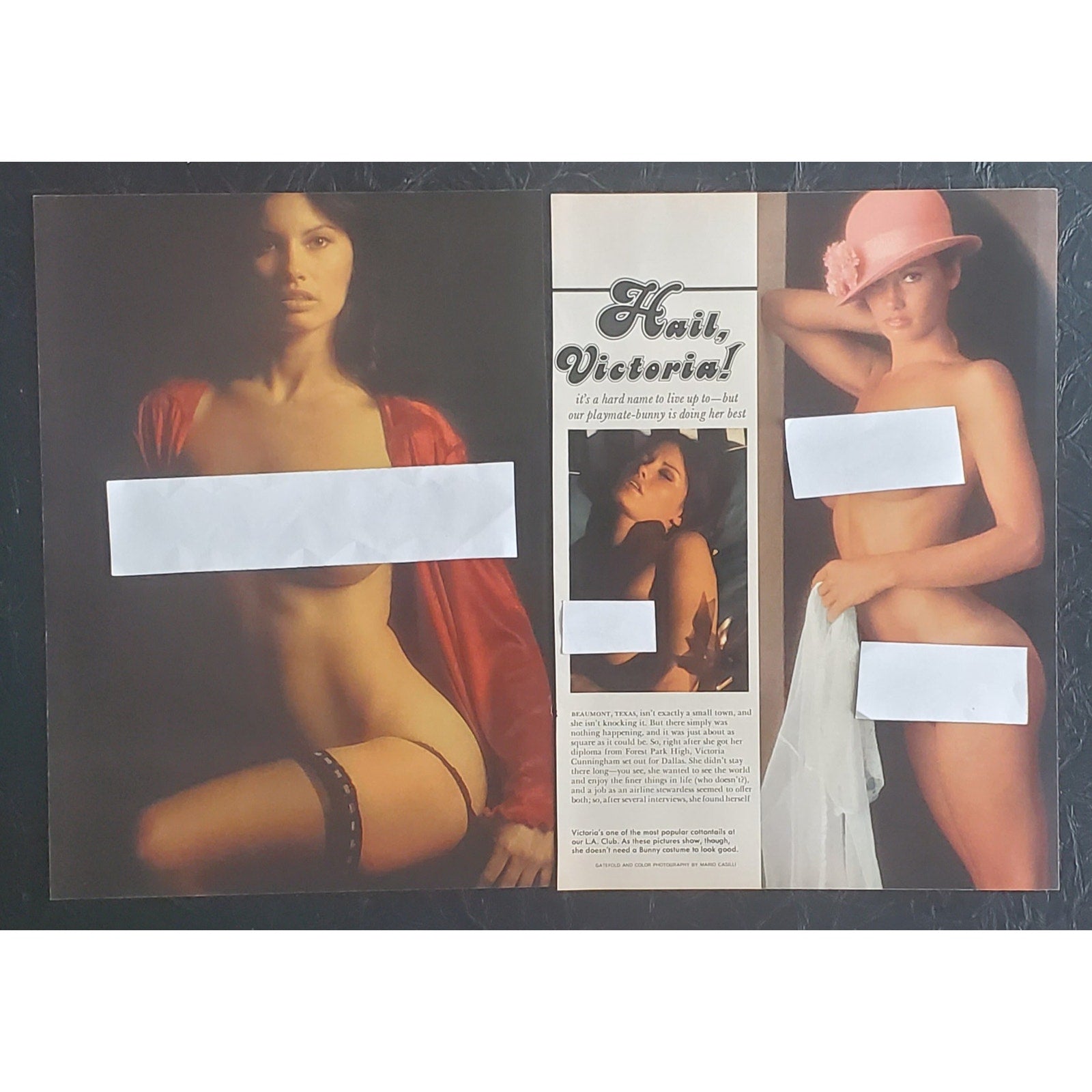 Playboy PICTORIAL ONLY - Playmate VICTORIA CUNNINGHAM   April, 1975   5 pages