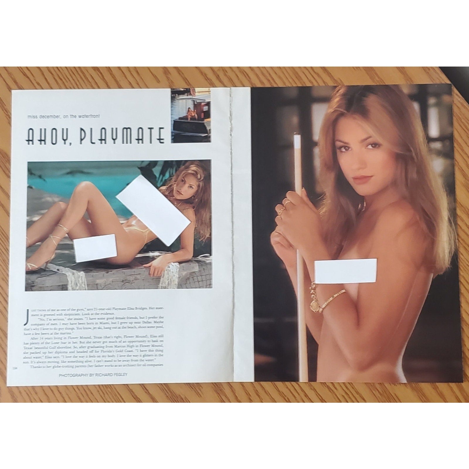 Playboy PICTORIAL ONLY - Playmate ELISA BRIDGES December, 1994 7 pages