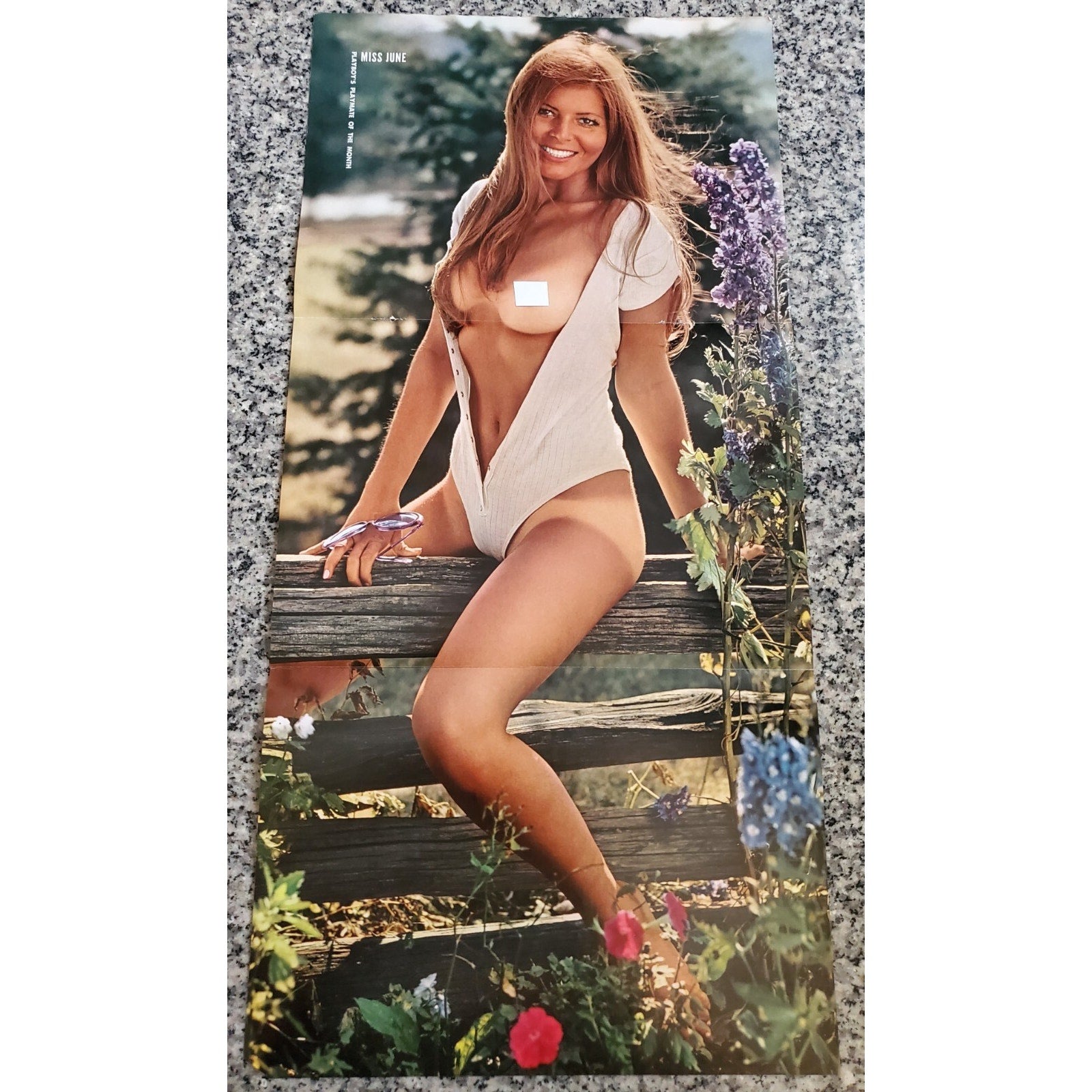 Playboy PIN UP / CF - Playmate LIEKO ENGLISH June, 1971