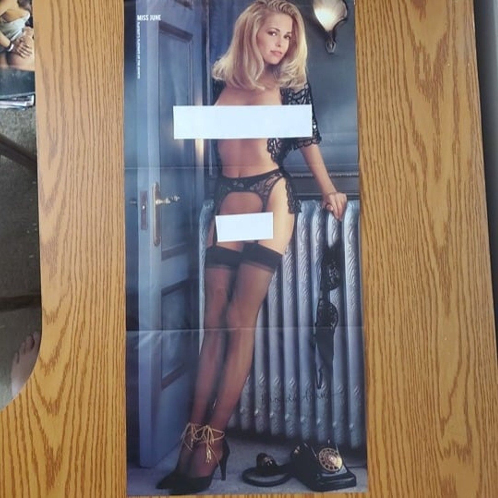 Playboy Pin-Up / CF - RHONDA ADAMS    June, 1995