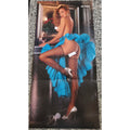 Playboy PIN UP / CF - Playmate KARI KENNELL February, 1988