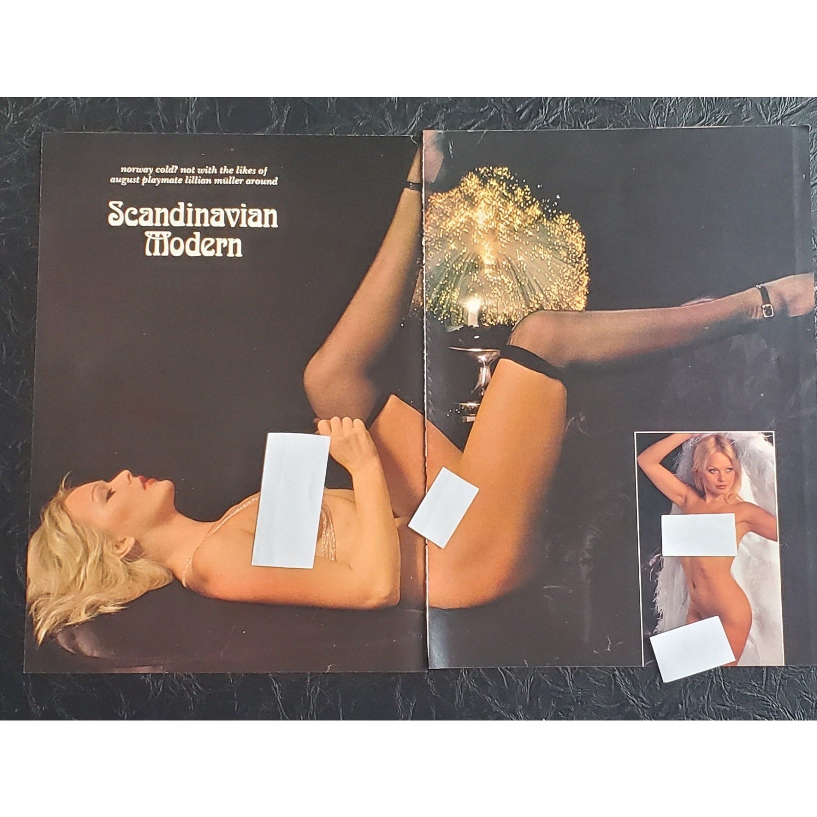Playboy PICTORIAL ONLY - Playmate LILLIAN MULLER August, 1975 7 pages