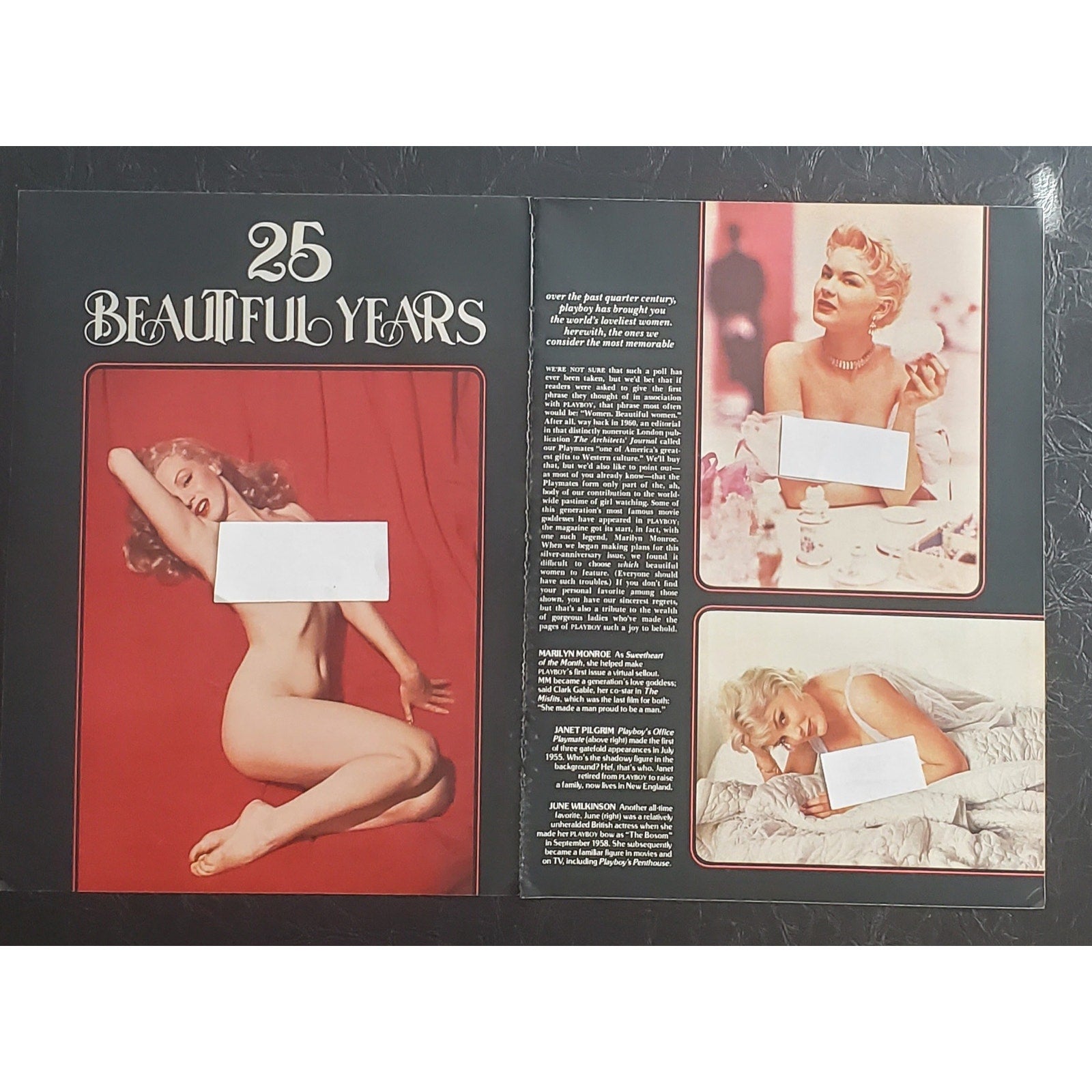Playboy PICTORIAL ONLY - 25 BEAUTIFUL YEARS    January, 1979    16 Pages
