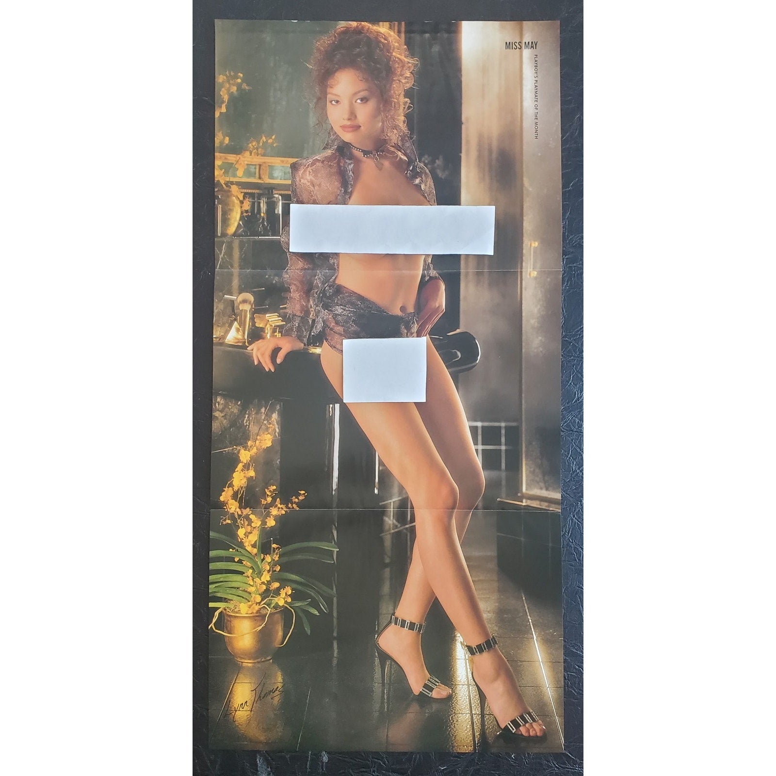 Playboy PIN UP / CF - Playmate LYNN THOMAS May, 1997